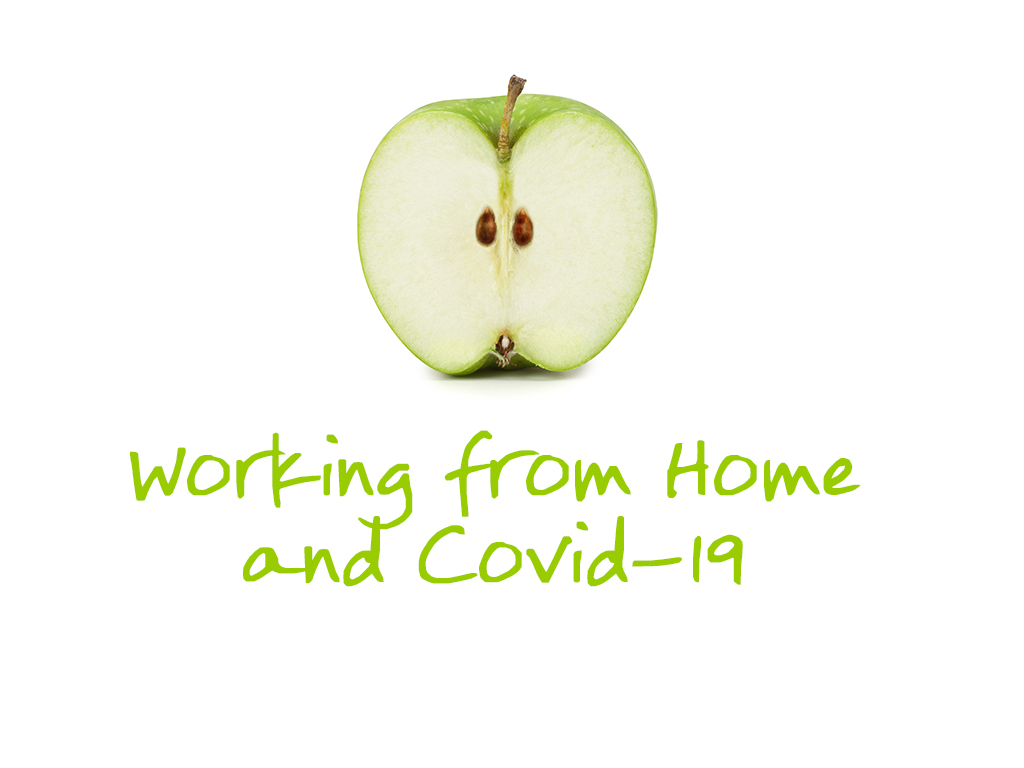 4-3_Working_From_Home_Covid_19