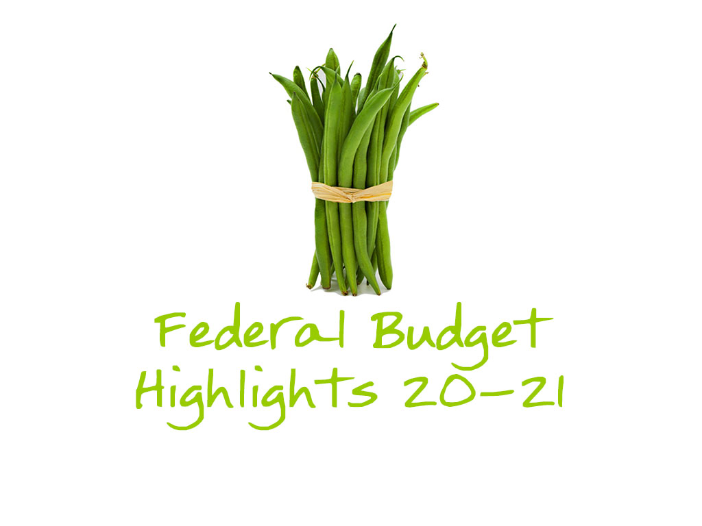 Federal Budget 20-21