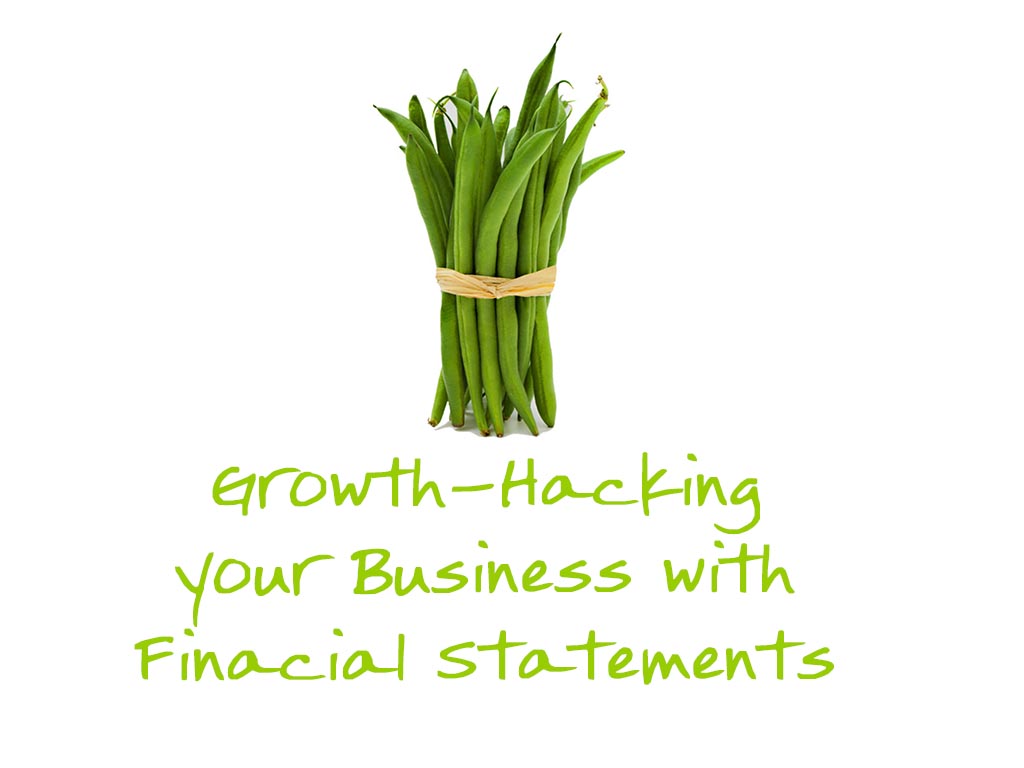 Accountants and business experts financial statements