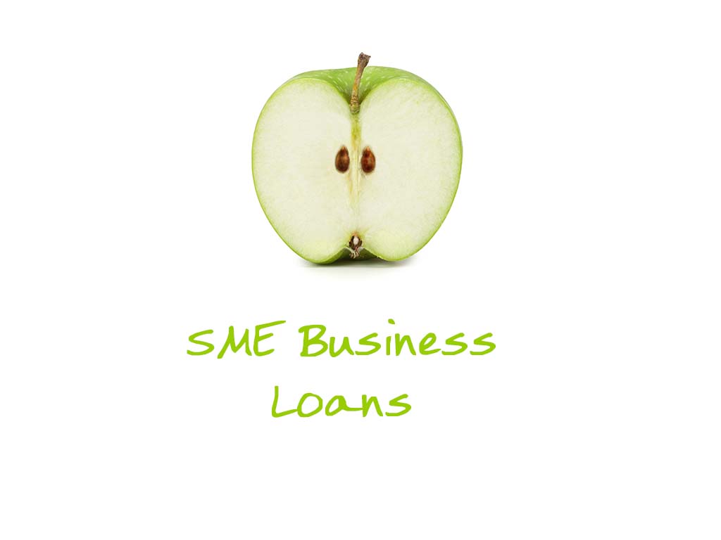 Federal government SME Business Loans