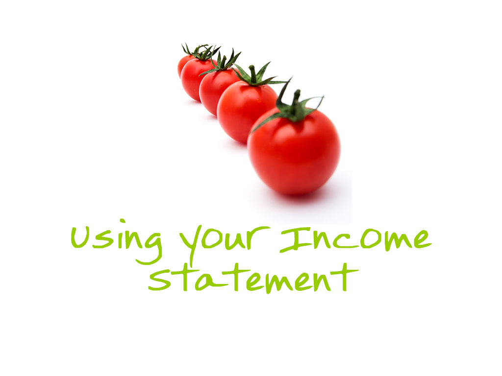 Using your income statement copy